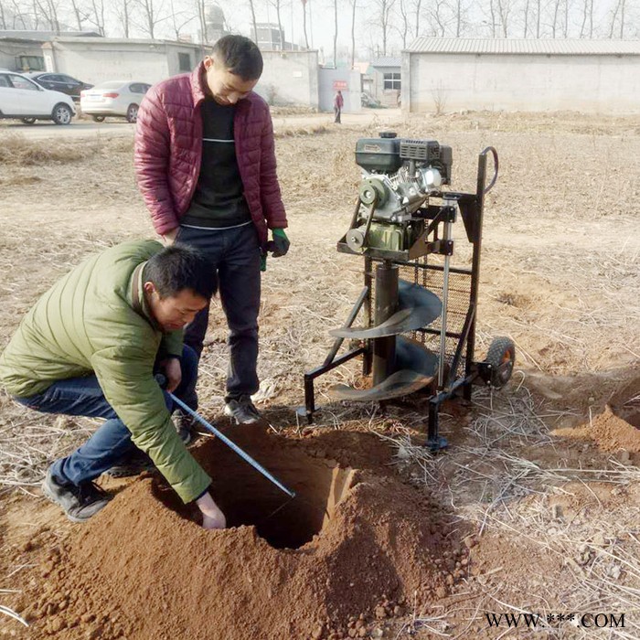 大馬力汽油二四沖程挖坑機 栽樹種樹挖坑機 光伏發電鉆孔機挖坑機
