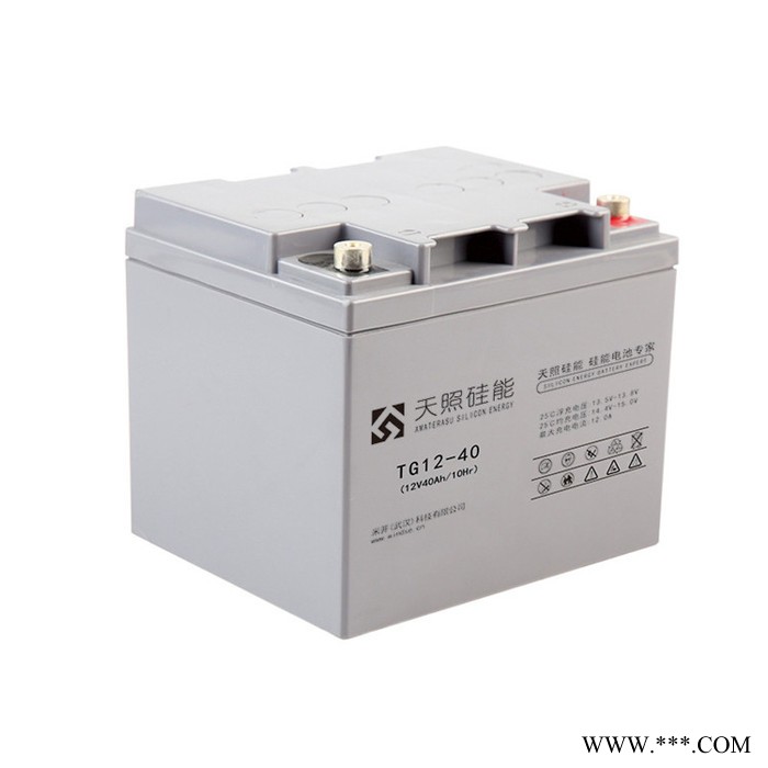 天照硅能蓄電池TG12-100醫療電信電力太陽能光伏UPS儲能直流屏專用電池 總經銷商12V100AH