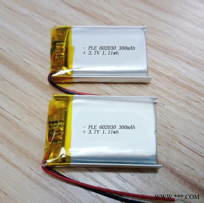 天一鋰能 小聚合物電池  聚合物鋰電池**