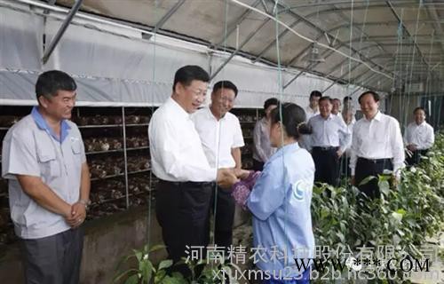 光伏大棚_大棚_太陽能發(fā)電大棚