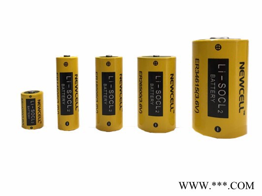 Newcell AA 5號鋰電池 鋰亞硫酰氯 ER14505 3.6V 2700mAh 超長壽命 耐高低溫 物聯網電源