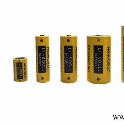 Newcell AA 5號鋰電池 鋰亞硫酰氯 ER14505 3.6V 2700mAh 超長壽命 耐高低溫 物聯網電源