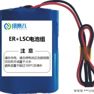 Newcell 超級復合電容 充電鋰電池 LSC14250 3.6V 全密封 瞬時大電流長壽命  物聯網電池  智能儀表