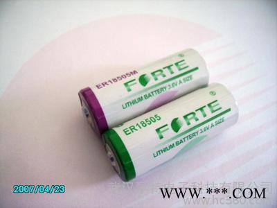 供應(yīng) 一次性鋰電池ER18505 遠(yuǎn)程抄表所需電池 多儀器儀表試用