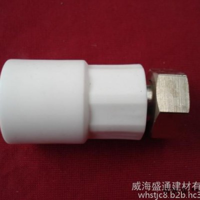 新利通ppr管件 太陽能活接 活絡直接 熱水器活絡接頭