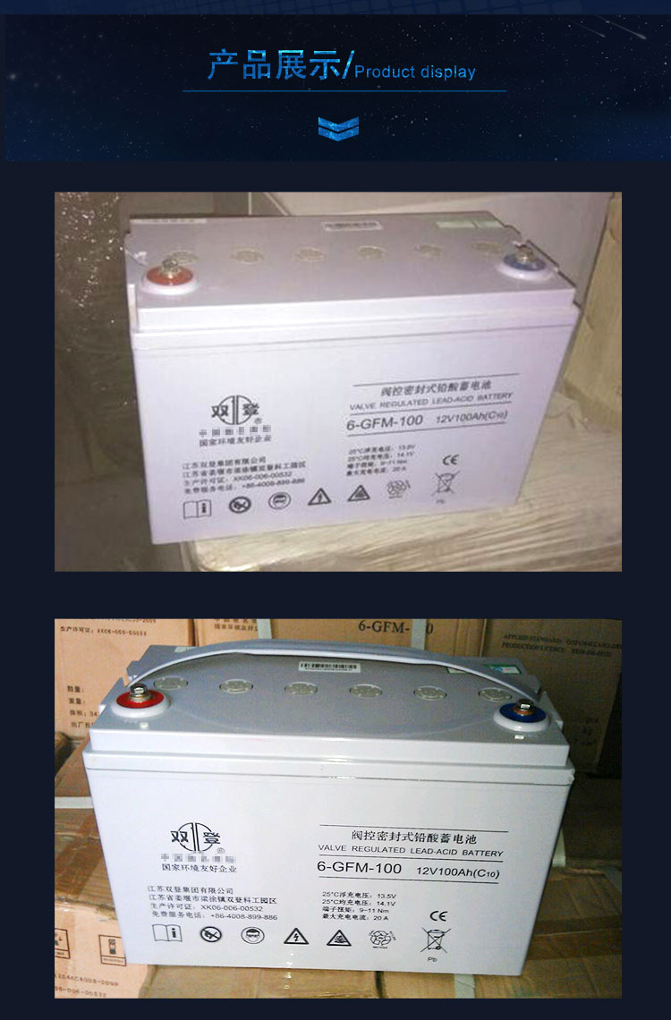 雙登12v100ah 蓄電池 6-GFM-100蓄電池太陽能蓄電池廠家直示例圖2