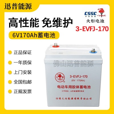 火炬蓄電池3-EVFJ-170電動轎車電瓶 6V170Ah高爾夫球車電池免維護