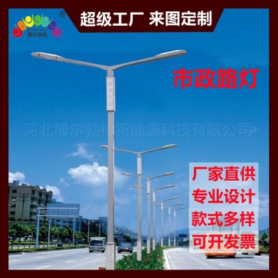 博爾勃特10米12米LED市電路燈 市政道路照明太陽能路燈廠 家批 發