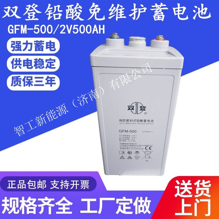 雙登蓄電池GFM-500通訊機房2v500ah直流屏2v1000ah電廠后備電源