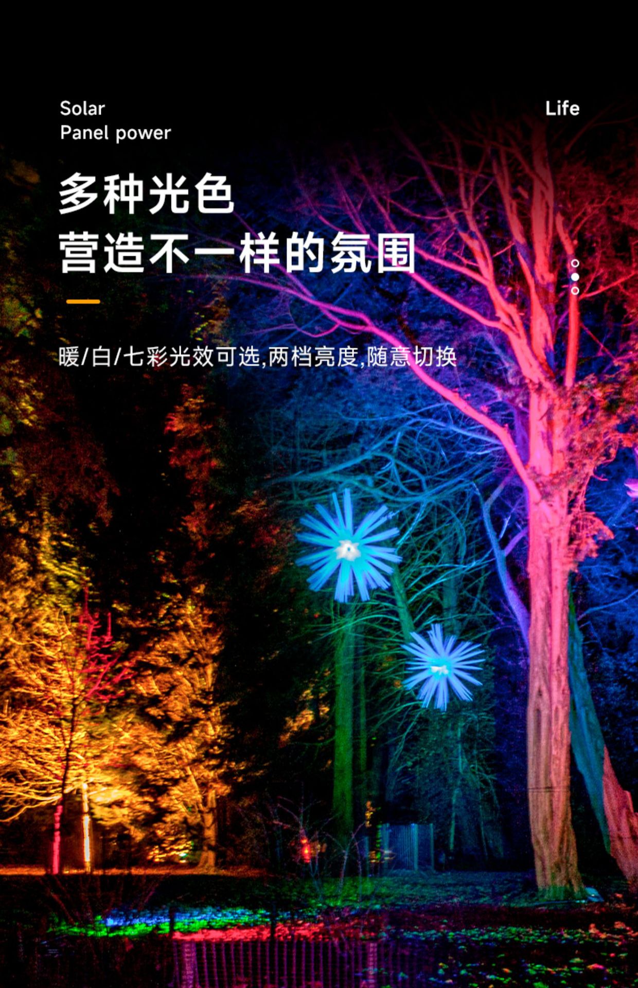 詳情_08