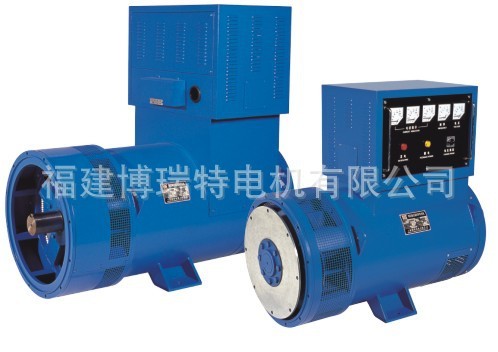 博瑞特TFW系列低速發(fā)電機(jī)1000轉(zhuǎn)6級特種發(fā)電機(jī)水輪機(jī)