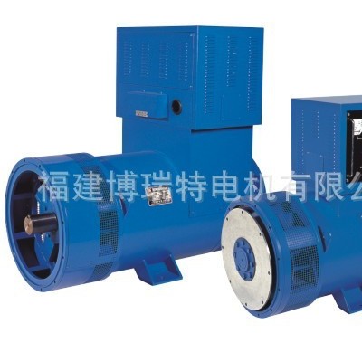 博瑞特TFW系列低速發(fā)電機(jī)1000轉(zhuǎn)6級特種發(fā)電機(jī)水輪機(jī)