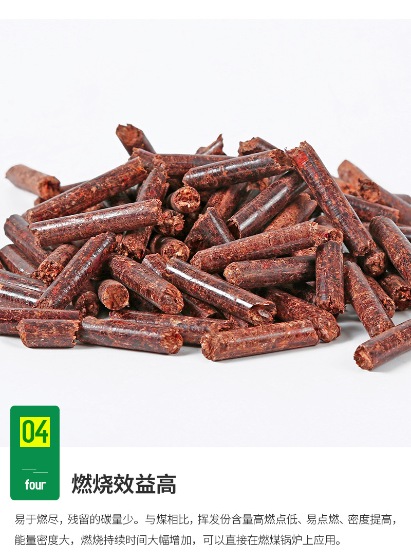龍木內頁_10.jpg