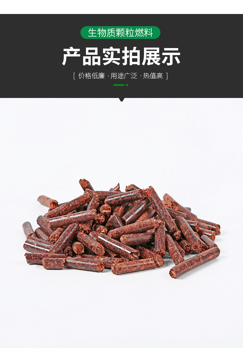 龍木內頁_12.jpg