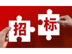 浙新運管甘肅分公司下轄嘉峪關正泰第二光儲電站儲能系統涉網性能試驗測試服務招標公告